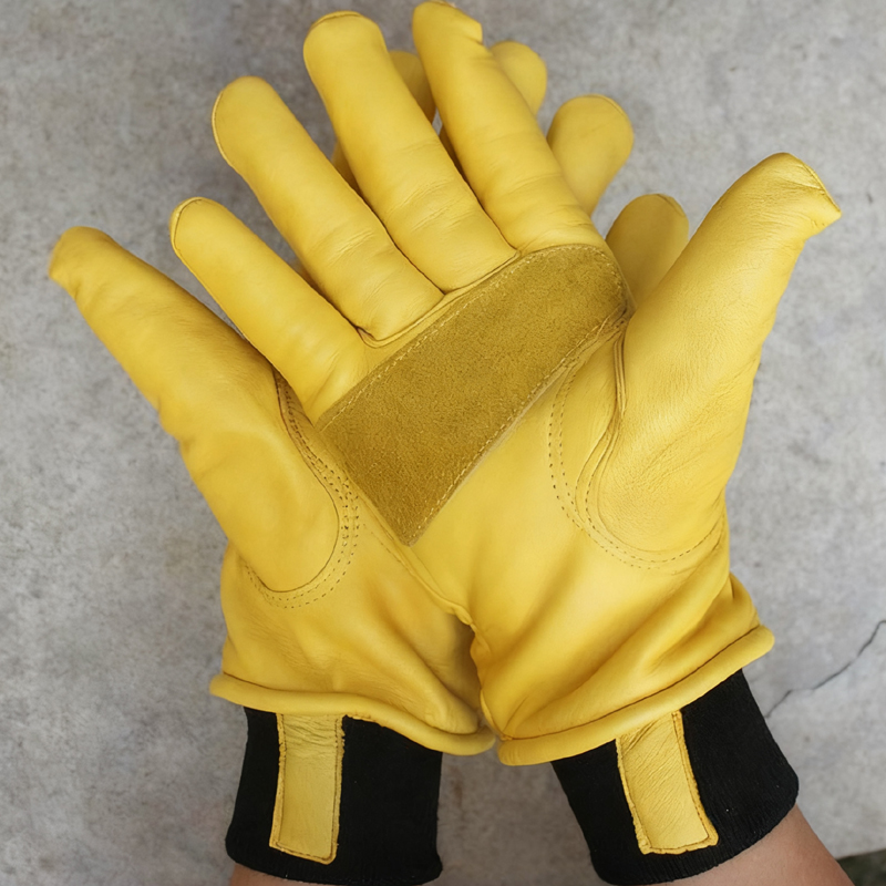 Guantes de invierno para motoc - Winter Glove Insulated reseña y precio