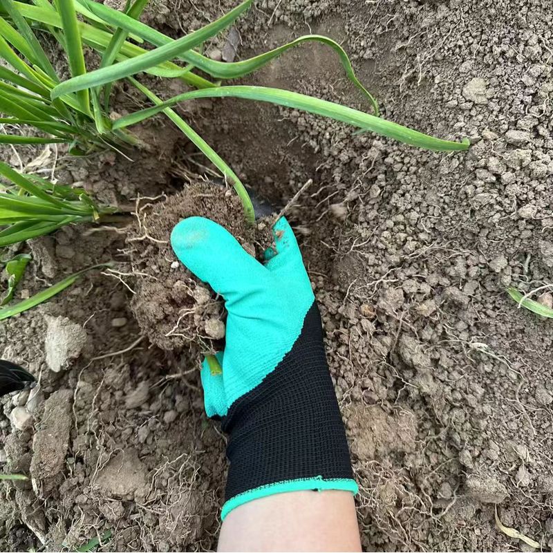Guantes de Jardinería con Garr - Gardening Glove Waterproof reseña y precio
